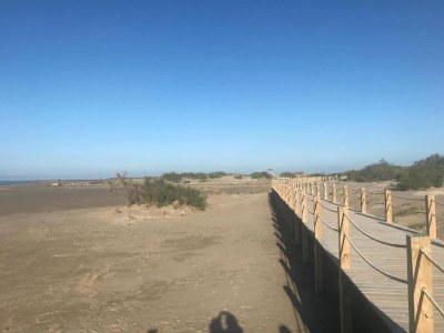 Holiday house Hütte in Deltebre nahe Far del Fangar - Environment photo 24