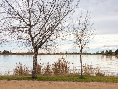 Holiday house Hütte in Deltebre nahe Far del Fangar - Environment photo 25