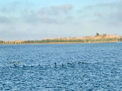 Holiday house Hütte in Deltebre nahe Far del Fangar - Environment photo 27