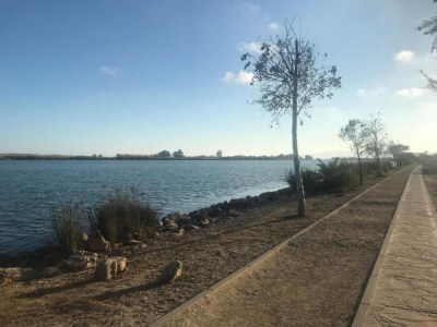 Holiday house Hütte in Deltebre nahe Far del Fangar - Environment photo 28