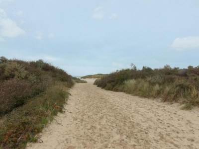 Apartment Luxusapartment in Kamperland - Environment photo 22