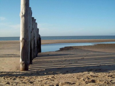 Apartment Luxusapartment in Kamperland - Environment photo 27