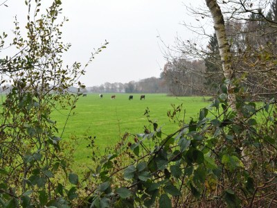 Apartment Shed 57b in an old flour mill in Haulerwijk - Environment photo 28