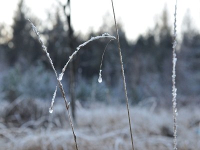Apartment Shed 57b in an old flour mill in Haulerwijk - Environment photo 29