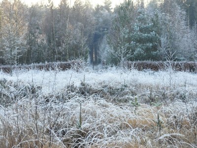 Apartment Shed 57b in an old flour mill in Haulerwijk - Environment photo 30