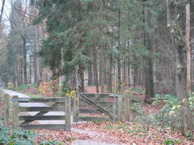 Apartment Shed 57b in an old flour mill in Haulerwijk - Environment photo 31