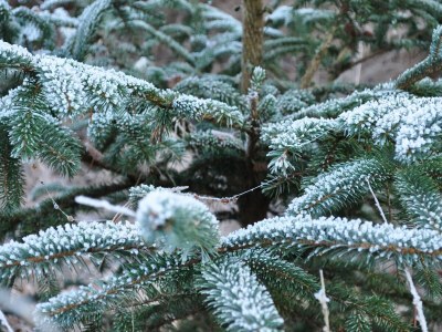 Apartment Shed 57b in an old flour mill in Haulerwijk - Environment photo 34