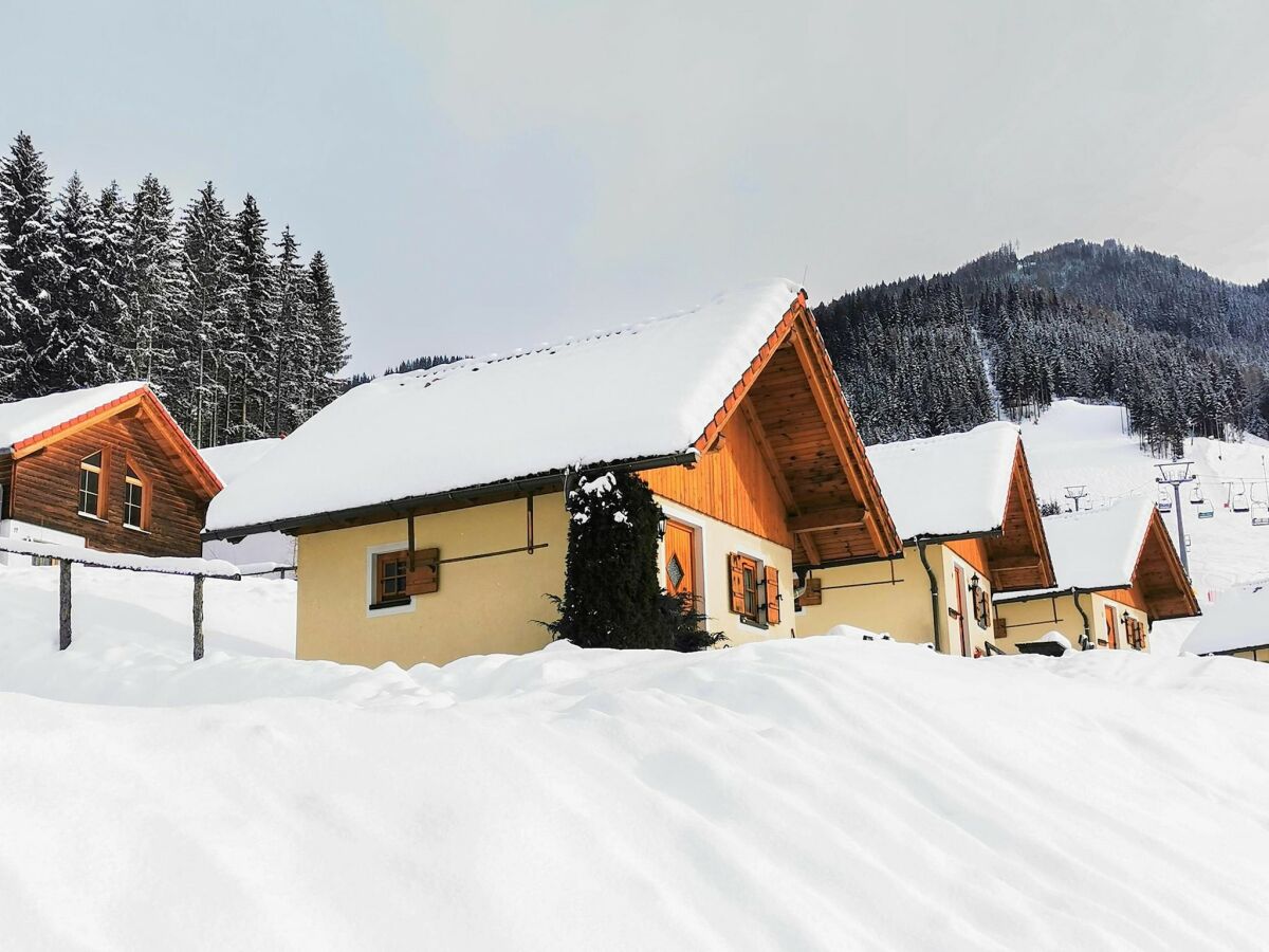 Holiday park Chalet in Gaal by Ski Slopes & Alpine Park