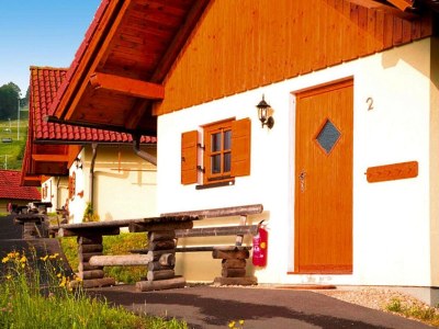 Holiday park Chalet in Gaal by Ski Slopes & Alpine Park - Outdoor photo 3