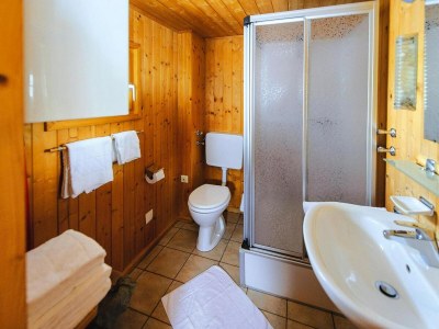 Holiday park Chalet in Gaal by Ski Slopes & Alpine Park - Features photo 4