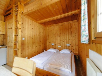 Holiday park Chalet in Gaal by Ski Slopes & Alpine Park - Features photo 6