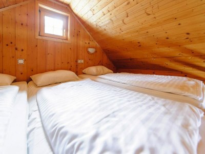 Holiday park Chalet in Gaal by Ski Slopes & Alpine Park - Features photo 7