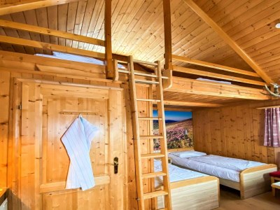 Holiday park Chalet in Gaal by Ski Slopes & Alpine Park - Features photo 8