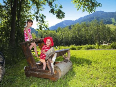 Holiday park Chalet in Gaal by Ski Slopes & Alpine Park - Environment photo 10