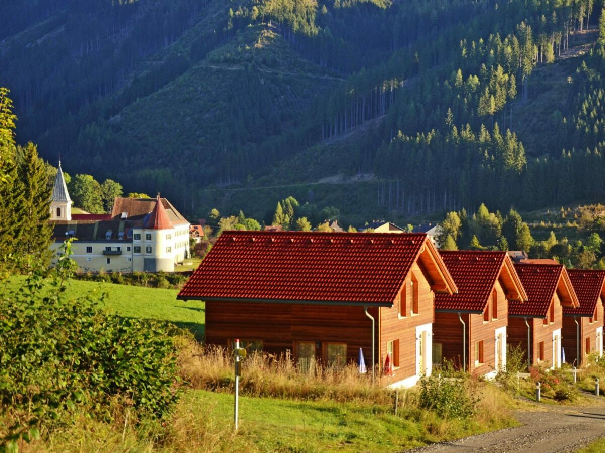 Holiday park Chalet in Gaal an der Skipiste & Badeteich - Outdoor photo 4