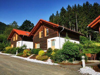 Holiday park Chalet in Gaal an der Skipiste & Badeteich - Outdoor photo 5