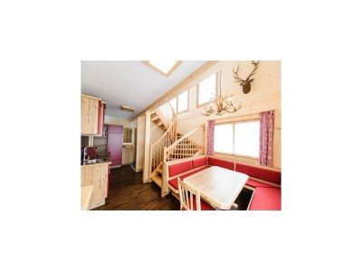 Holiday park Chalet in Gaal an der Skipiste & Badeteich - Features photo 15