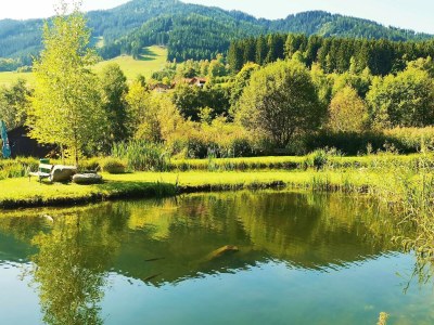 Holiday park Chalet in Gaal an der Skipiste & Badeteich - Environment photo 18