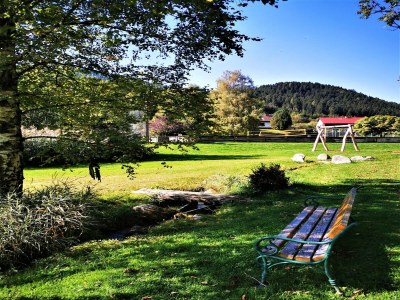 Holiday park Chalet in Gaal an der Skipiste & Badeteich - Environment photo 21