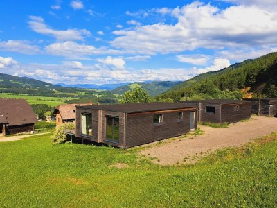 caravan Loft in Gaal near Ski Slope & Hiking Trails - Outdoor photo 16