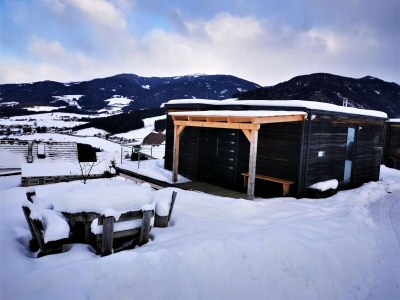 caravan Loft in Gaal near Ski Slope & Hiking Trails - Environment photo 24