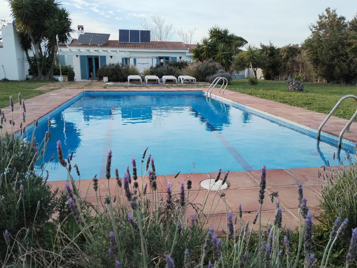 Holiday house 0527 Finca Lavanda - Outdoor photo 5