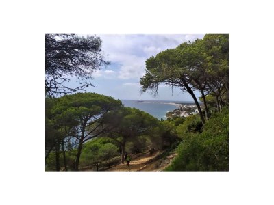 Holiday house 0527 Finca Lavanda - Environment photo 20