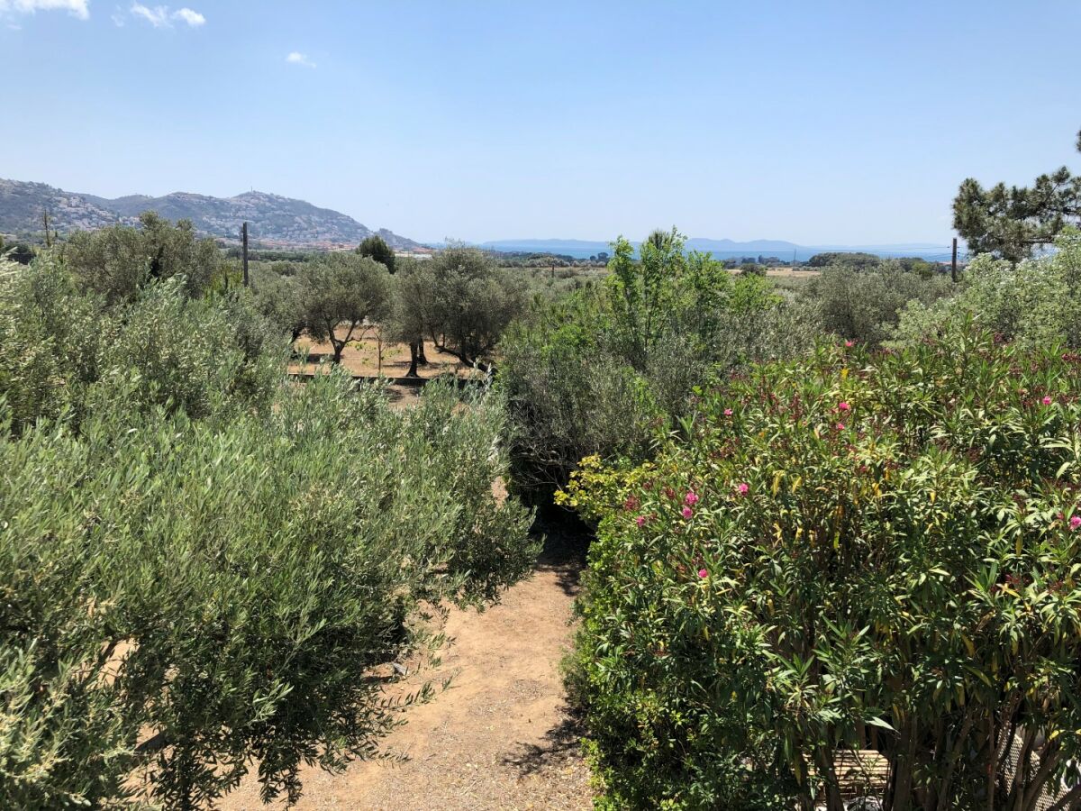 Holiday apartment El Cardo - Outdoor photo 3