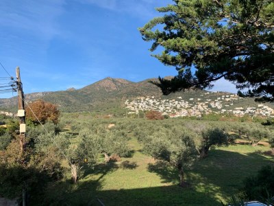 Holiday apartment El Cardo - Outdoor photo 6