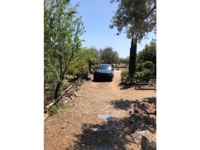 Holiday apartment El Cardo - Outdoor photo 11