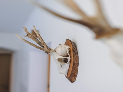 Holiday house Holiday Home on Großglockner Alpine Road - Outdoor photo 38