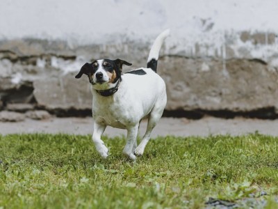 Holiday house Holiday Home on Großglockner Alpine Road - Outdoor photo 43