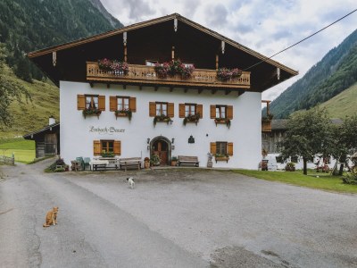 Apartment Wohnung in Fusch nahe Großglocknerstraße - Outdoor photo 29