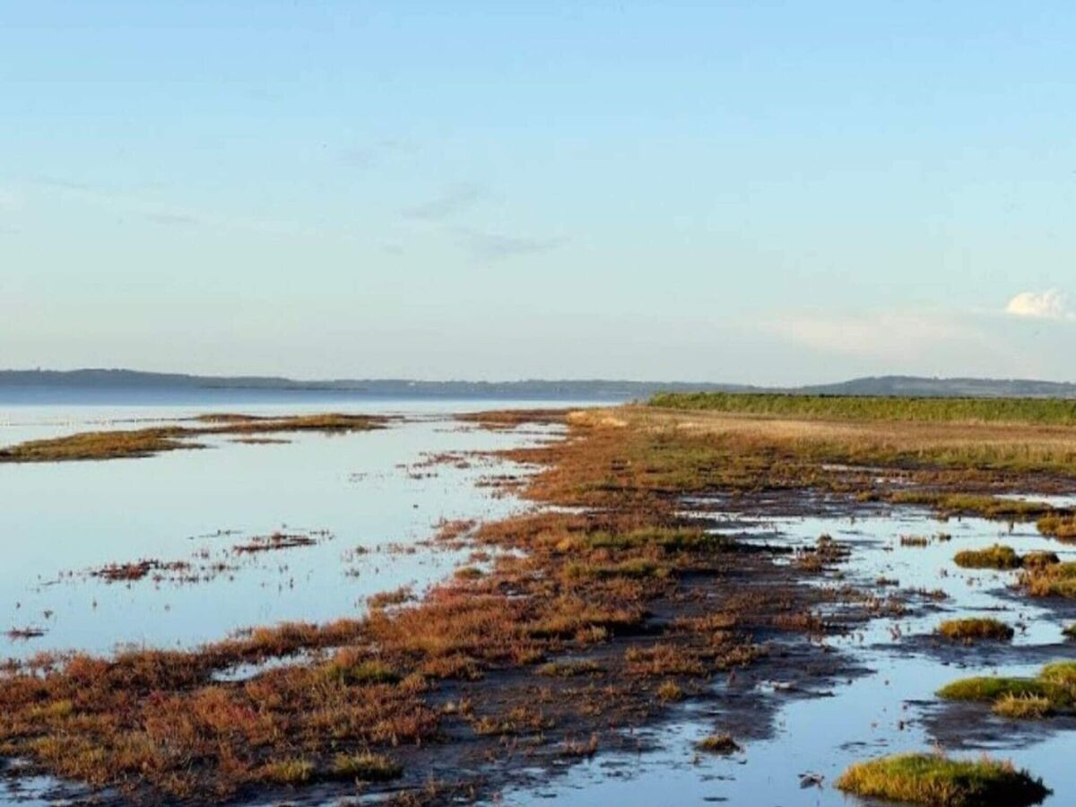 Holiday house 6 person holiday home in Saltum-By Traum - Outdoor photo 4