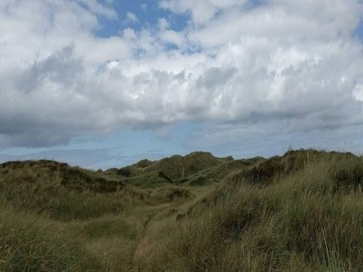 Holiday house 6 person holiday home in Saltum-By Traum - Outdoor photo 12