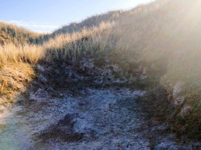 Holiday house 6 person holiday home in Saltum-By Traum - Outdoor photo 17