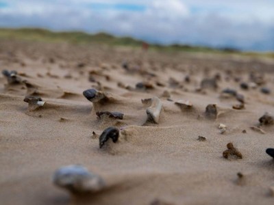 Holiday house 6 Personen Ferienhaus in Saltum-By Traum - Outdoor photo 8