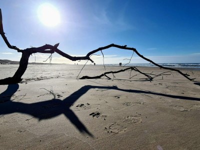 Holiday house 6 Personen Ferienhaus in Saltum-By Traum - Outdoor photo 9