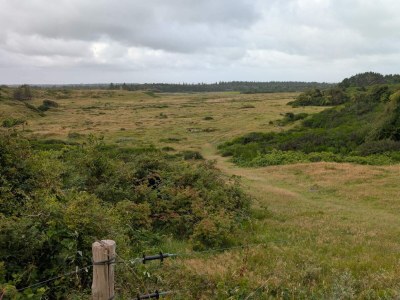 Holiday house 6 Personen Ferienhaus in Saltum-By Traum - Outdoor photo 21