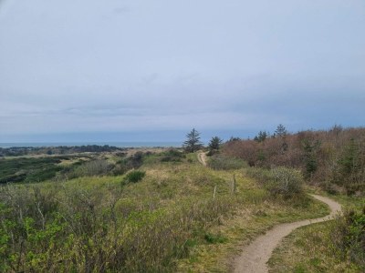 Holiday house 6 Personen Ferienhaus in Saltum-By Traum - Outdoor photo 24