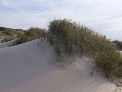 Holiday house 6 Personen Ferienhaus in Saltum-By Traum - Outdoor photo 33