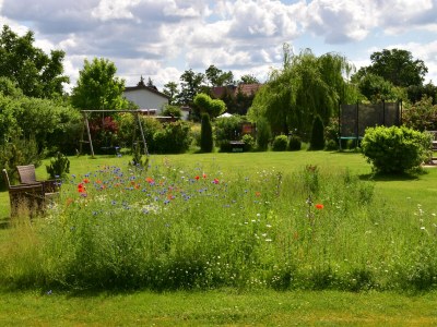 Holiday apartment "Zur Obstwiese" ("At the Orchard") - Outdoor photo 10