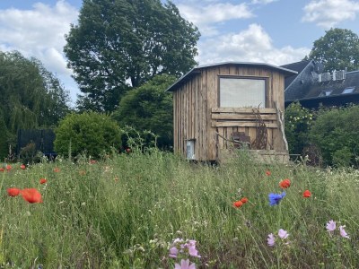 Holiday apartment "Zur Obstwiese" ("At the Orchard") - Outdoor photo 13
