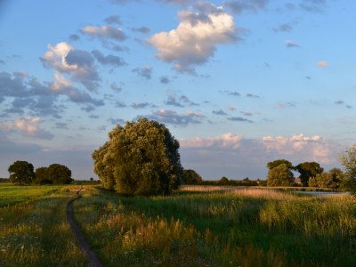 Holiday apartment "Zur Obstwiese" ("At the Orchard") - Environment photo 30