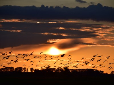 Holiday apartment "Zur Obstwiese" ("At the Orchard") - Environment photo 31