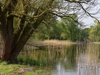 Holiday apartment "Zur Obstwiese" ("At the Orchard") - Environment photo 34