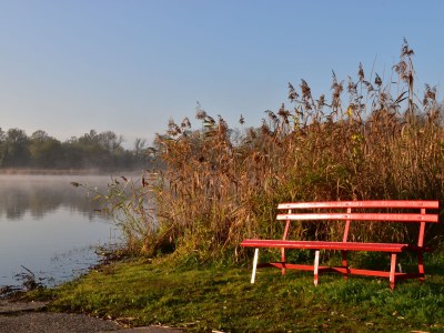 Holiday apartment "Zur Obstwiese" ("At the Orchard") - Environment photo 35