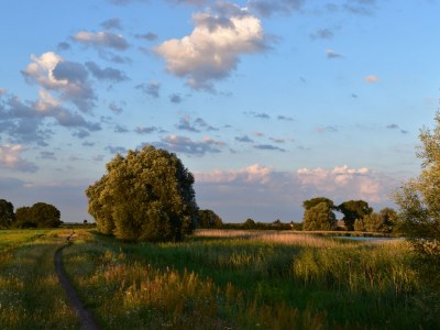 Holiday apartment "Zur Obstwiese" ("At the Orchard") - Environment photo 39