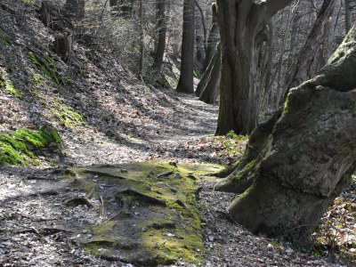 Holiday apartment "Zur Obstwiese" ("At the Orchard") - Environment photo 40