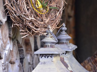 Holiday apartment "Zur Obstwiese" ("At the Orchard") - Document photo 43